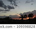 Tropical sunsets 109398828