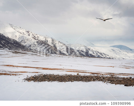 Snow mountain in Mongolia. Scenic landscape with snowy mountain top. Wonderful view from stony snowy mountain to mountain range under blue sky in sunny day. Snow mountain in Mongolia. Scenic landscape with snowy mountain top. Wonderful view from stony snowy mountain to mountain range under blue sky in sunny day. 109398996