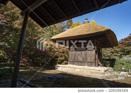 Kamakura November Chojuzenji Temple 9 109399389