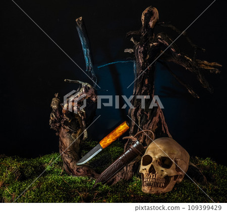 Composition with a hunting knife and moss. Knife and skull. Moss and wood. Front view. 109399429