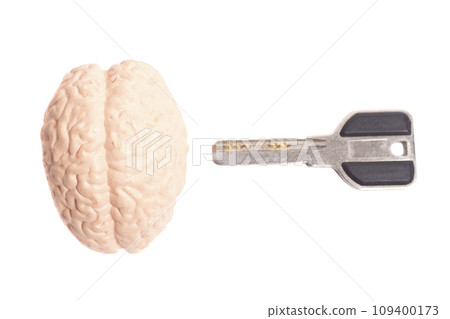 Human brain anatomical model with key isolated on white background Human brain anatomical model with key isolated on white background 109400173