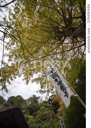 Kamakura November Sugimotoji Temple 11 109400484
