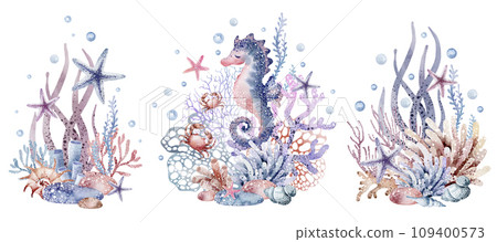 Seahorse with underwater corals on an isolated background. Watercolor illustration of the underwater world. Sea creatures are hand drawn. Design Kids undersea sea animals. 109400573
