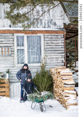 Little boy carries a Christmas tree on a sled to home Little boy carries a Christmas tree on a sled to home 109401042