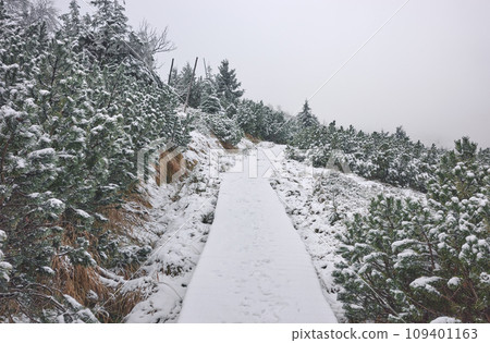 Winter mountain landscape of the Karkonosze Mountains, color toning applied, Poland. Winter mountain landscape of the Karkonosze Mountains, color toning applied, Poland. 109401163