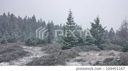 Winter mountain landscape of the Karkonosze Mountains, color toning applied, Poland. 109401167