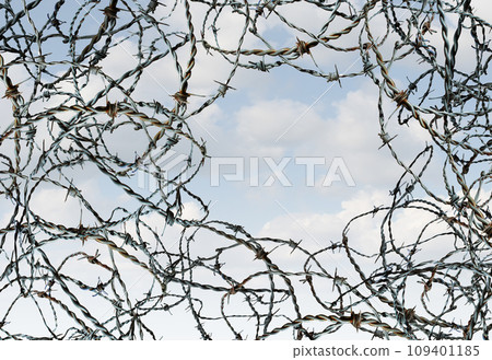 Pathway To Freedom 109401185