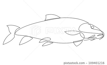 Carp fish continuous one line drawing. Crucian carp or tinca tinca drawn by single line. Vector illustration. 109401216