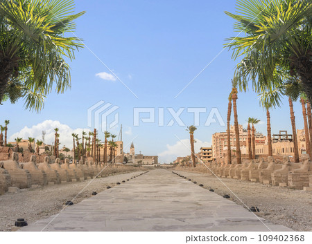 Alley of Sphinx statues 109402368