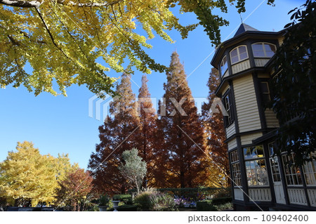 ``Diplomat's House'' in autumn leaves 109402400
