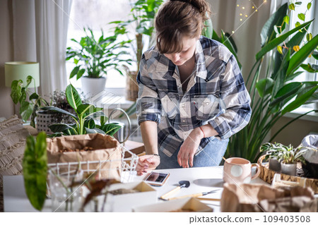Domestic woman searching variegated monstera transplant information browse internet use smartphone 109403508