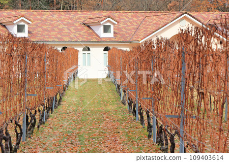 安曇野酒莊深秋葡萄園 109403614