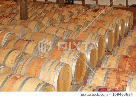 Wine cellar lined with oak barrels Wine cellar lined with oak barrels 109403684