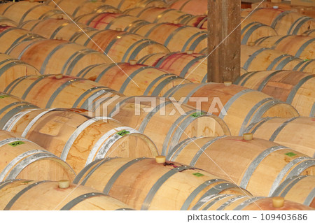 Wine cellar lined with oak barrels 109403686
