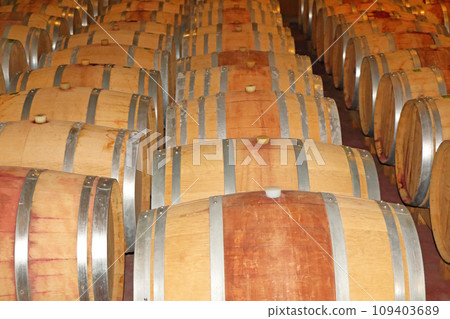 Wine cellar lined with oak barrels 109403689