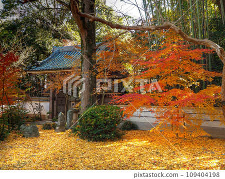 兵庫縣三木市，秋葉的慈源寺 109404198