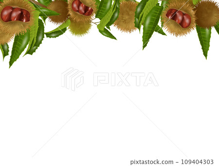 Chestnut branch frame illustration Chestnut branch frame illustration 109404303