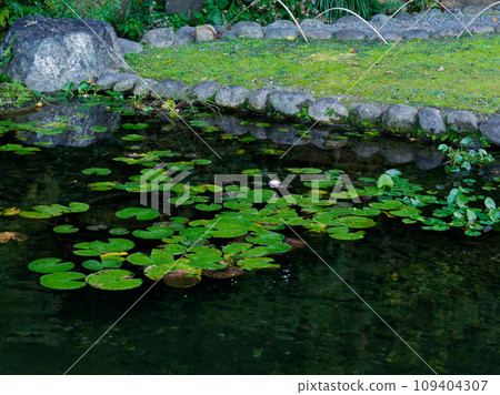 Tokugawaen Pond Izumi Excursion Style Garden Mizuren Pond 109404307