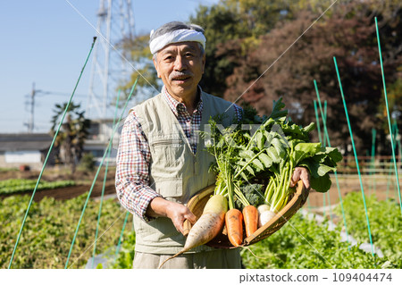 Farmer man growing vegetables in the field 109404474