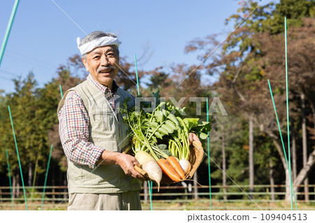 農夫在田裡種植蔬菜 農夫在田裡種植蔬菜 109404513