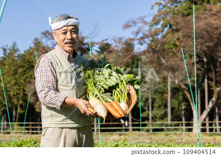 Farmer man growing vegetables in the field Farmer man growing vegetables in the field 109404514