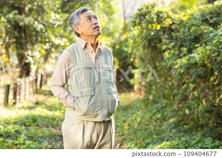 老人在公園散步 109404677