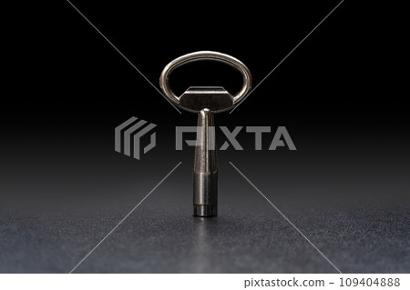 The key 109404888