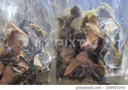 Puffer fish fin fin sake Puffer fish fin fin sake 109405343