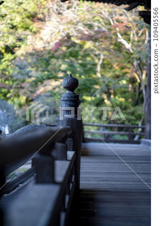 Kamakura December Myohonji Temple 6 109405566