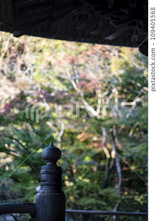 Kamakura December Myohonji Temple 7 Kamakura December Myohonji Temple 7 109405568