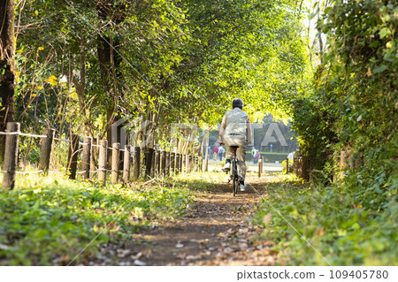 Senior man taking a walk in the park 109405780