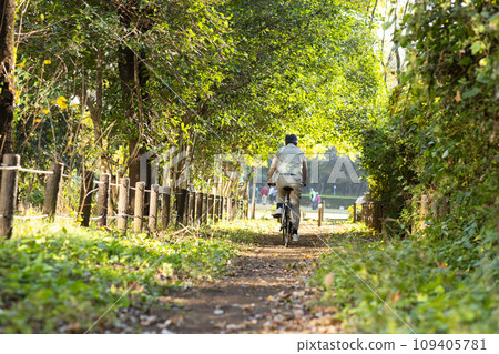 Senior man taking a walk in the park 109405781