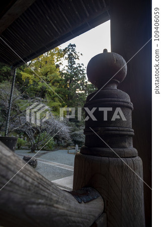 鎌倉 12 月 妙本寺 11 109406059