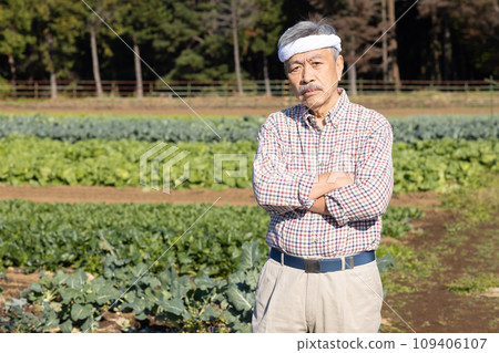 Farmer man growing vegetables in the field 109406107