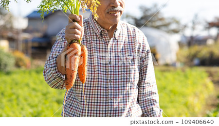 Men harvesting vegetables Men harvesting vegetables 109406640