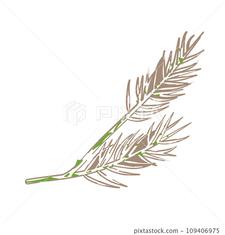 具有柔和線條畫感的松葉插圖 109406975