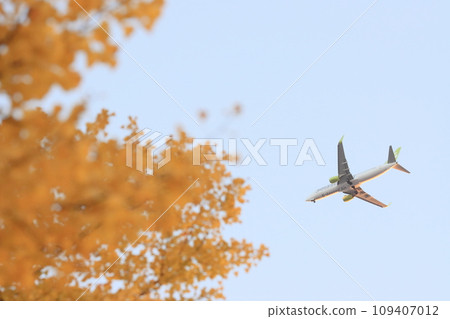 夕陽下的銀杏和飛機 109407012