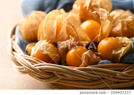Cape gooseberry, Goldenberry or Physalis peruviana 109407237