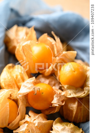 Cape gooseberry, Goldenberry or Physalis peruviana Cape gooseberry, Goldenberry or Physalis peruviana 109407238