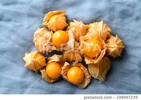 Cape gooseberry, Goldenberry or Physalis peruviana 109407239