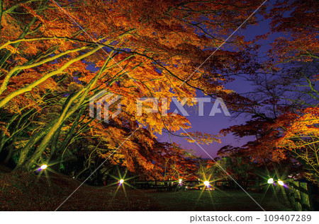 Gotenyama Park, Sakuyama, Otawara City, Tochigi Prefecture 109407289