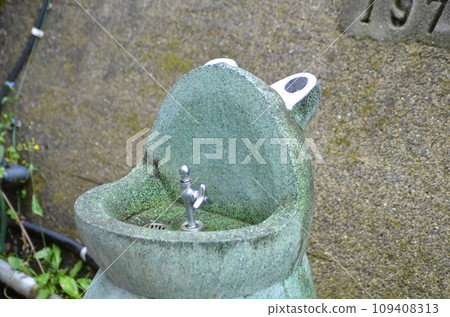 Frog water supply 109408313