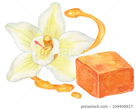 Caramel and vanilla flowers watercolor illustration Caramel and vanilla flowers watercolor illustration 109408917