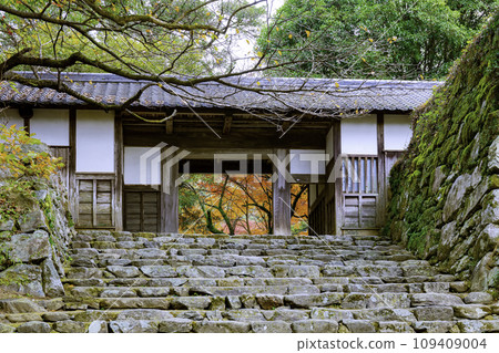 Nagayamon, the ruins of Akizuki Castle with beautiful autumn leaves 109409004