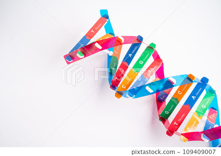 DNA or Deoxyribonucleic acid is a double helix chains structure formed by base pairs attached to a sugar phosphate backbone. 109409007