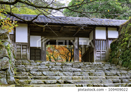 秋月城遺址長山門,秋葉美麗 秋月城遺址長山門,秋葉美麗 109409022