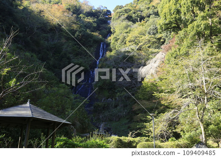 Autumn leaves at Shuzenji Asahi Falls Autumn leaves at Shuzenji Asahi Falls 109409485