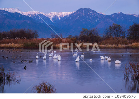 Otakarada Yusui Pond at dawn [Azumino City] 109409576