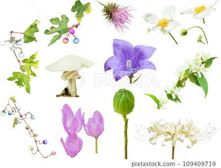 剪紙素材組-秋天的野花 109409719