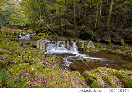 Akame 48 Falls Sister Falls (Akame Town, Nabari City, Mie Prefecture) 109410174